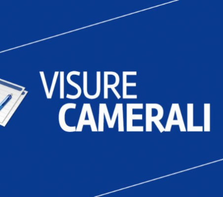 Visure camerali